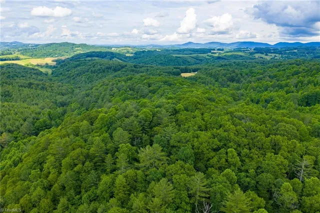 $985,000 | Tbd Phipps Dairy Road, Piney Creek, NC 28663