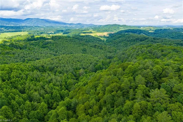 $985,000 | Tbd Phipps Dairy Road, Piney Creek, NC 28663