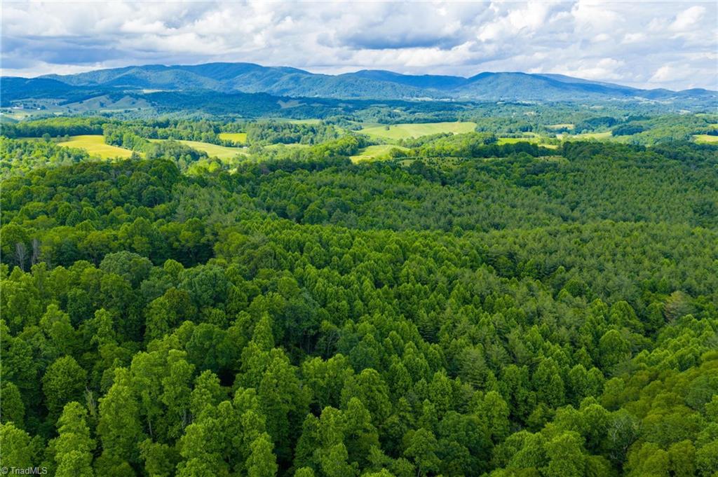 Tbd Phipps Dairy Road Piney Creek, NC 28663 - Photo 30 of 35