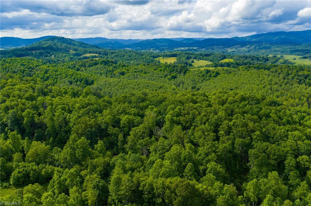 Tbd Phipps Dairy Road Piney Creek, NC 28663 - Photo 3 of 35