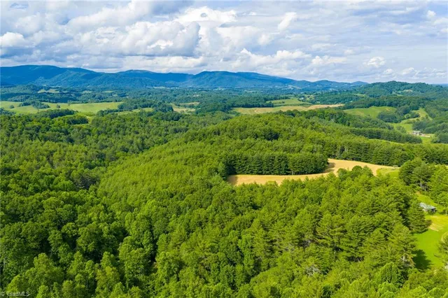 $985,000 | Tbd Phipps Dairy Road, Piney Creek, NC 28663