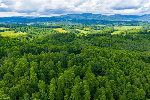 $985,000 | Tbd Phipps Dairy Road, Piney Creek, NC 28663