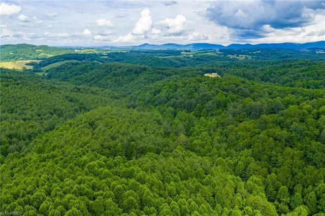 $985,000 | Tbd Phipps Dairy Road, Piney Creek, NC 28663