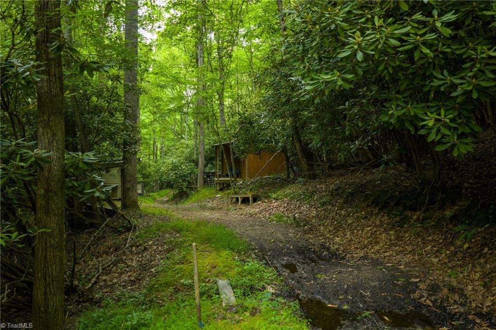 Tbd Phipps Dairy Road Piney Creek, NC 28663 - Photo 34 of 35