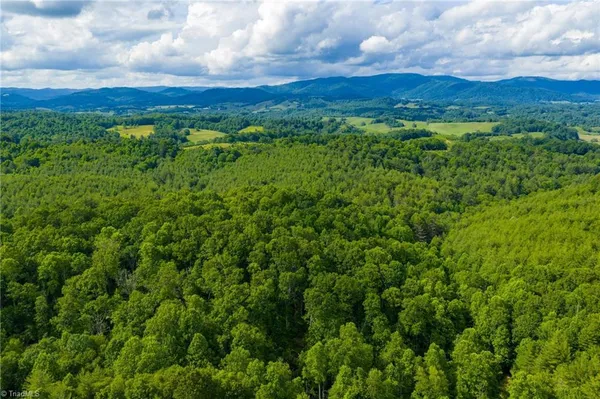 $985,000 | Tbd Phipps Dairy Road, Piney Creek, NC 28663