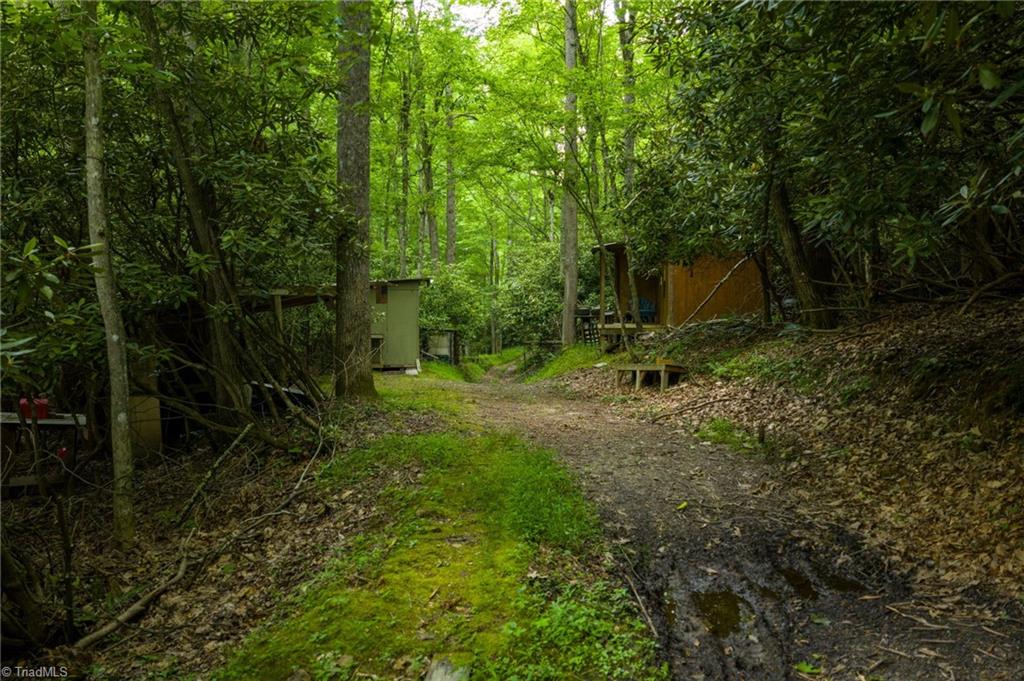 Tbd Phipps Dairy Road Piney Creek, NC 28663 - Photo 5 of 35