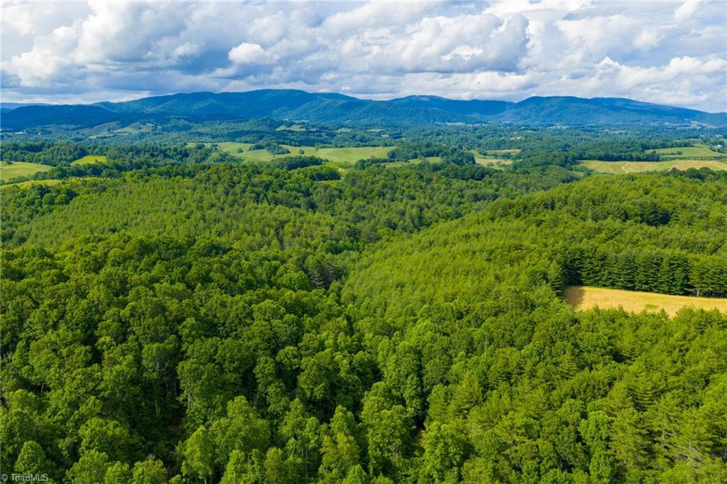 Tbd Phipps Dairy Road Piney Creek, NC 28663 - Photo 6 of 35