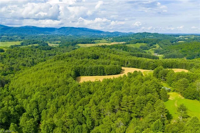 $985,000 | Tbd Phipps Dairy Road, Piney Creek, NC 28663