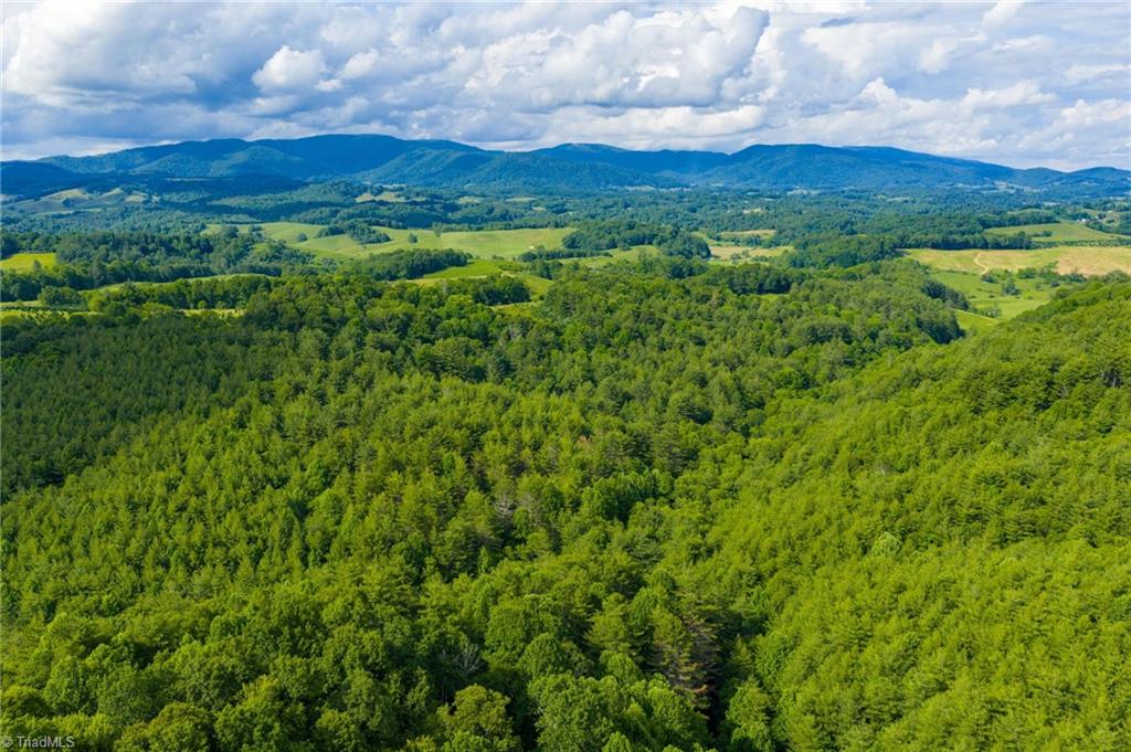 Tbd Phipps Dairy Road Piney Creek, NC 28663 - Photo 10 of 35