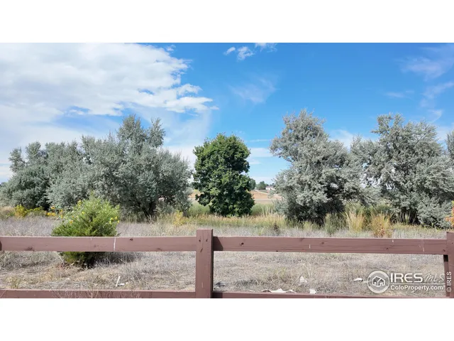 a black and white photo of a field