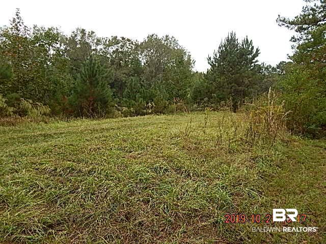 3497 Millry-Buckatunna Road Millry, AL 36558 - Photo 5 of 17 Back Yard