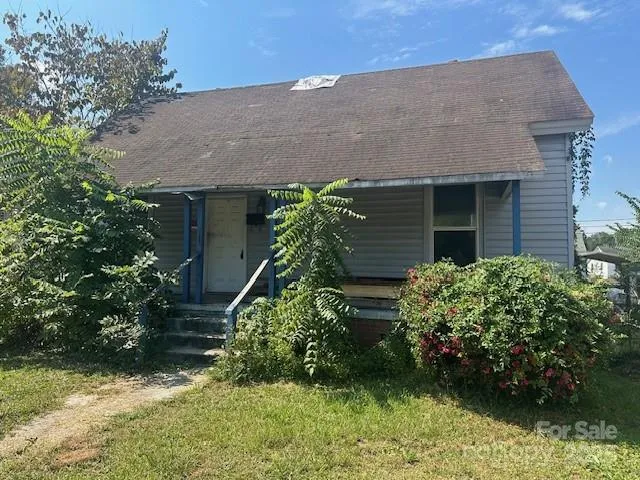 a plant is in front of a house