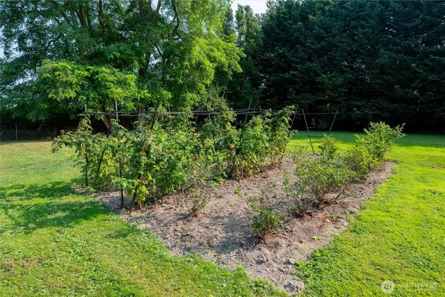 a view of house with backyard and garden
