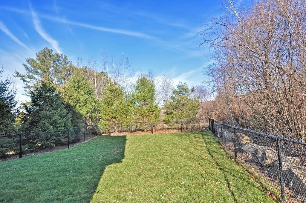 50 Beatrice Way Canton, MA 02021 - Photo 24 of 29 a view of a yard with a tree