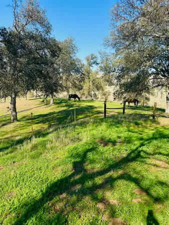 a big yard with lots of green space and trees in the background