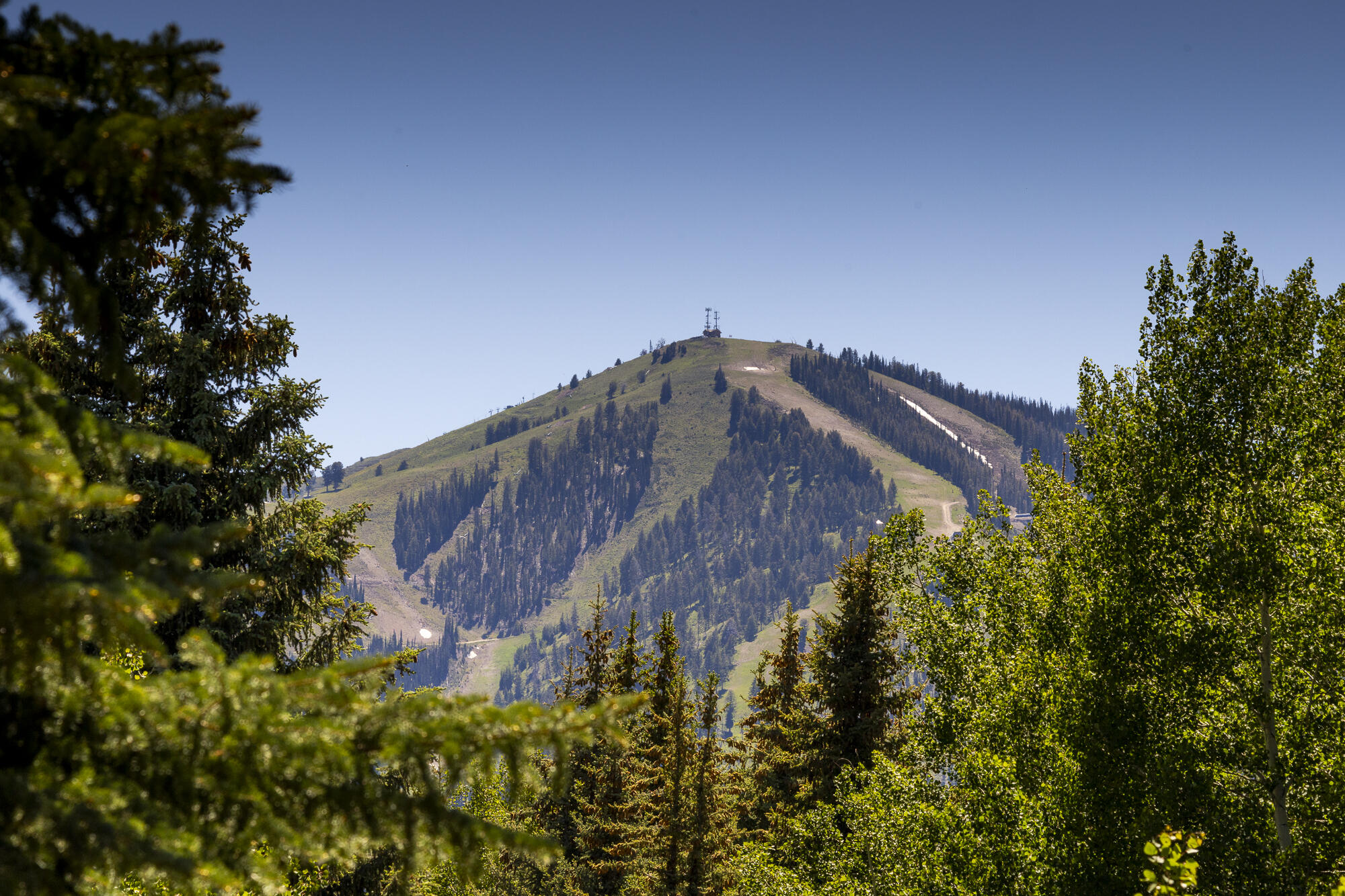512 Fairway Road Sun Valley, ID 83353 - Photo 19 of 28 Baldy Views