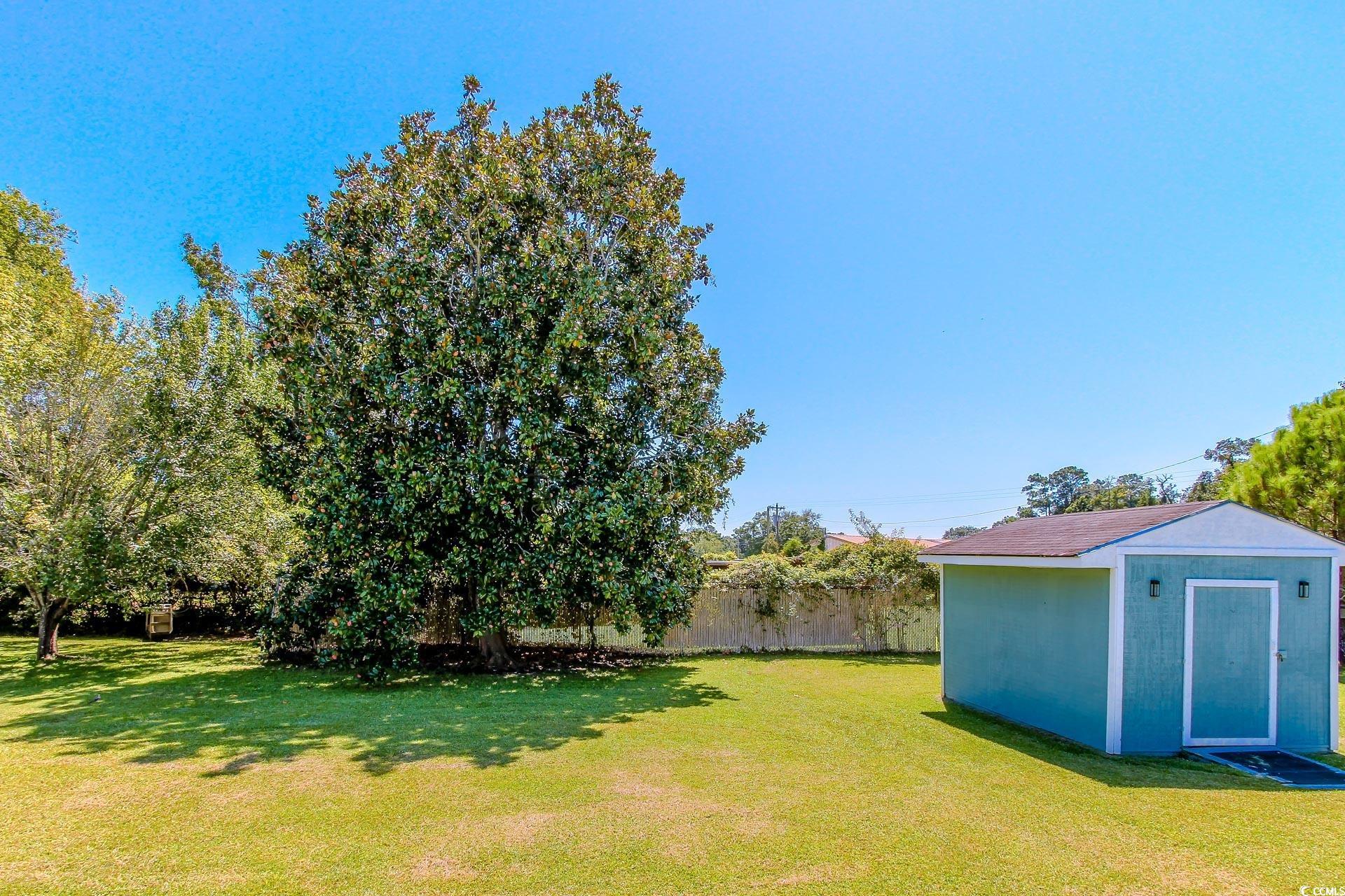 163 Crooked Island Circle Murrells Inlet, SC 29576 - Photo 36 of 40 View of yard featuring a storage unit