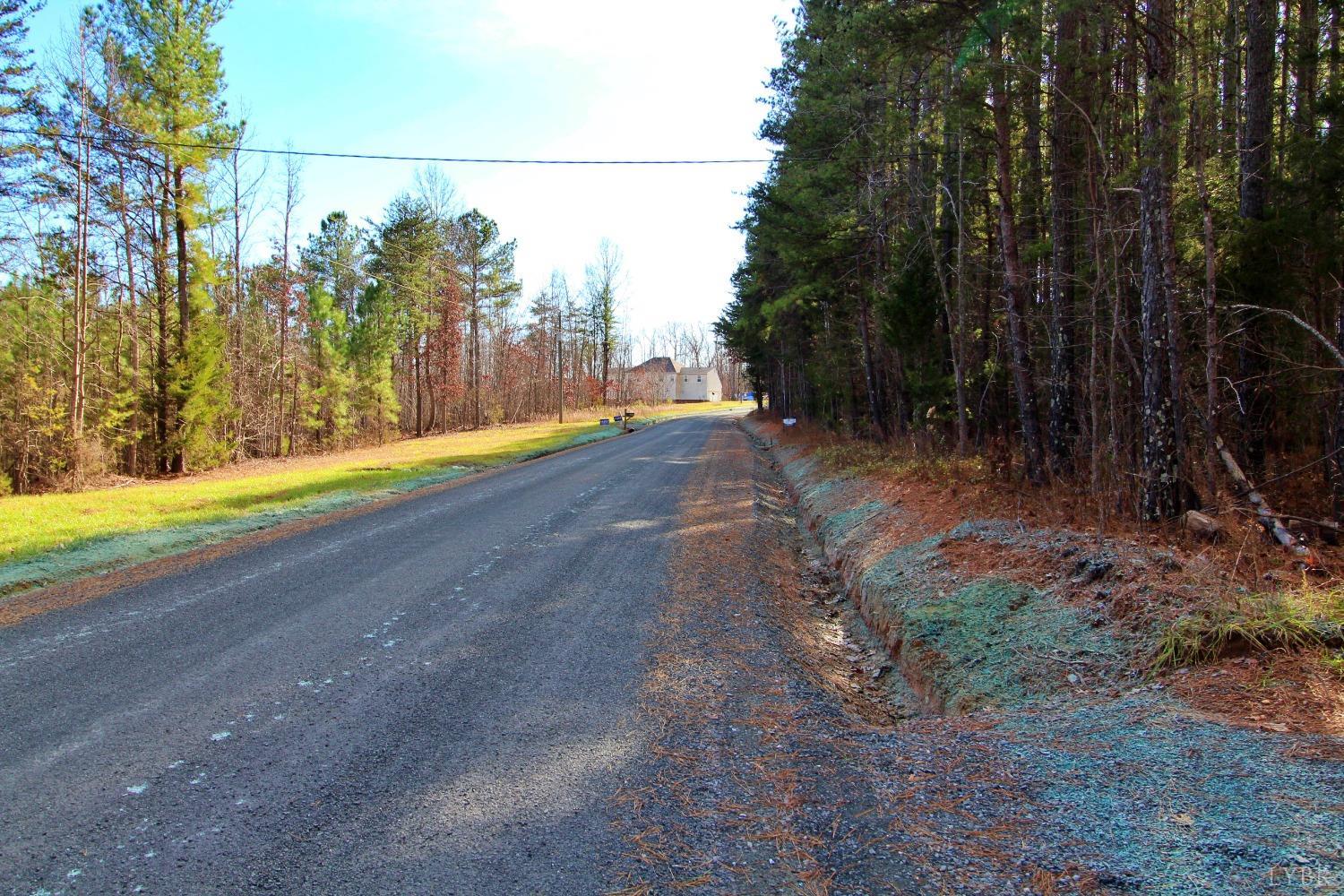 2 Cub Creek Road Appomattox, VA 24522 - Photo 3 of 3 a view of a yard with large trees