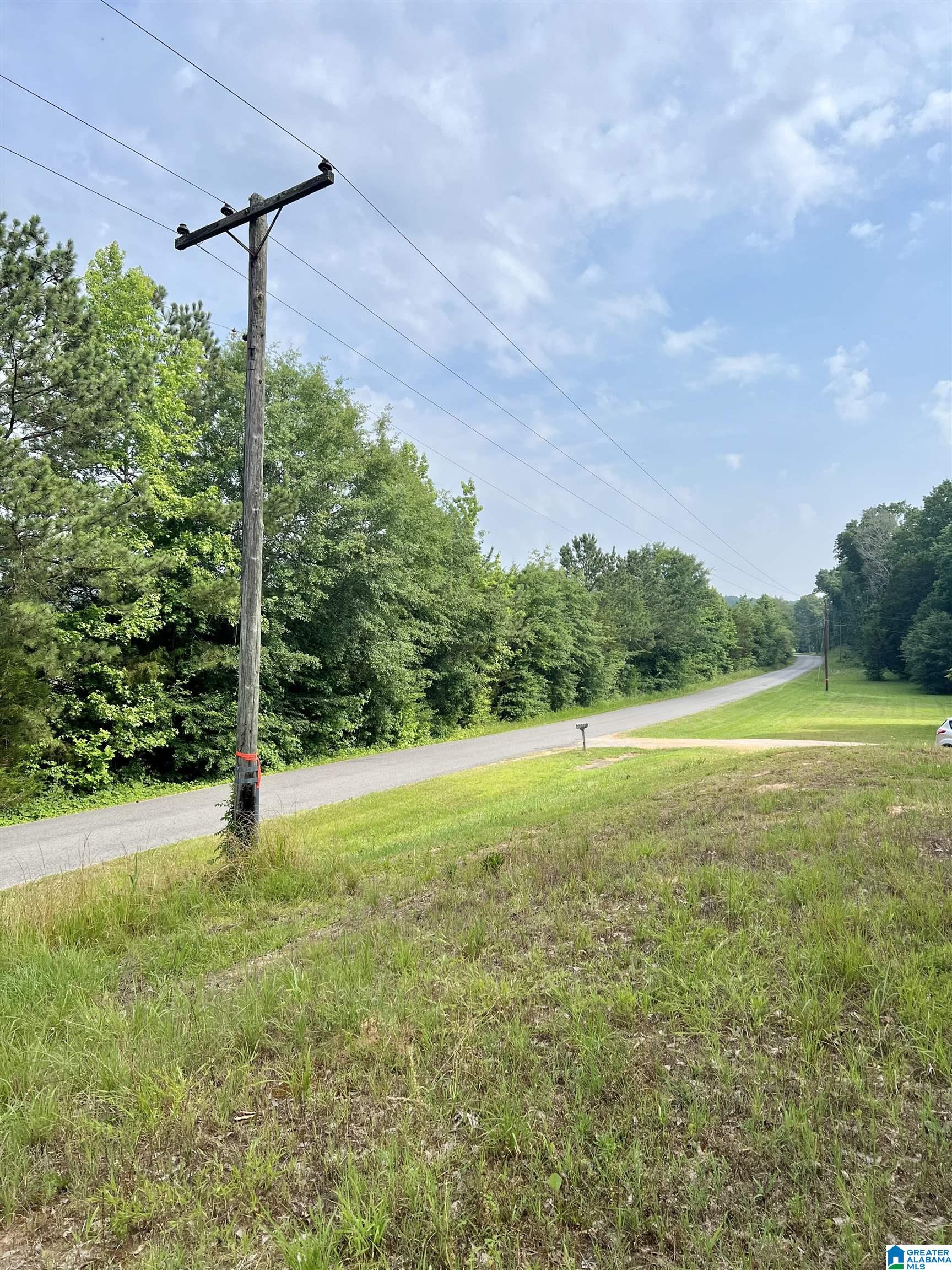 0 Fowler Springs Road, Unit 21 Blountsville, AL 35031 - Photo 18 of 24
