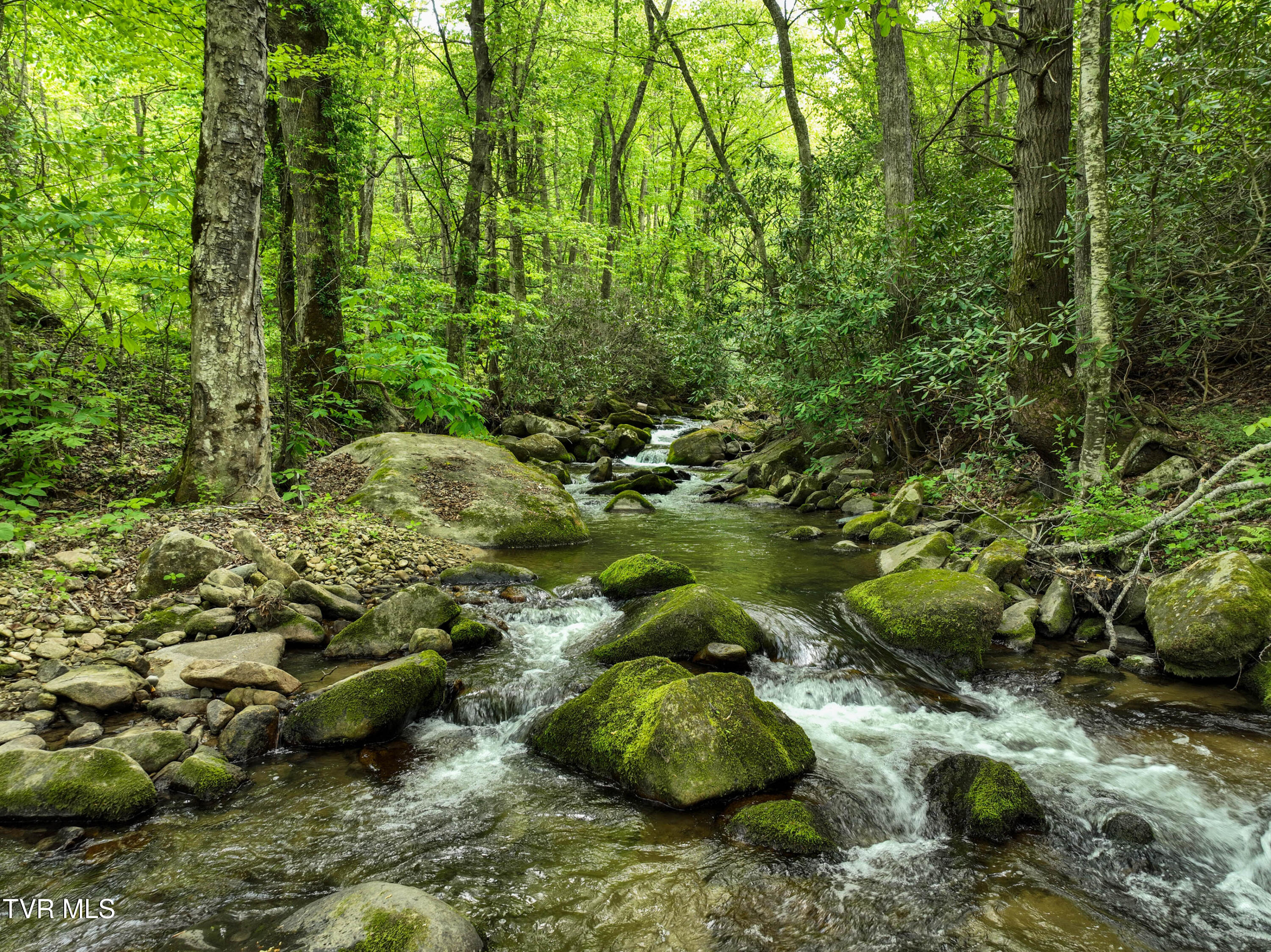 275 Tiger Creek Road Roan Mountain, TN 37687 - Photo 86 of 104 275 Tiger Creek Rd Drone WALLACE-33
