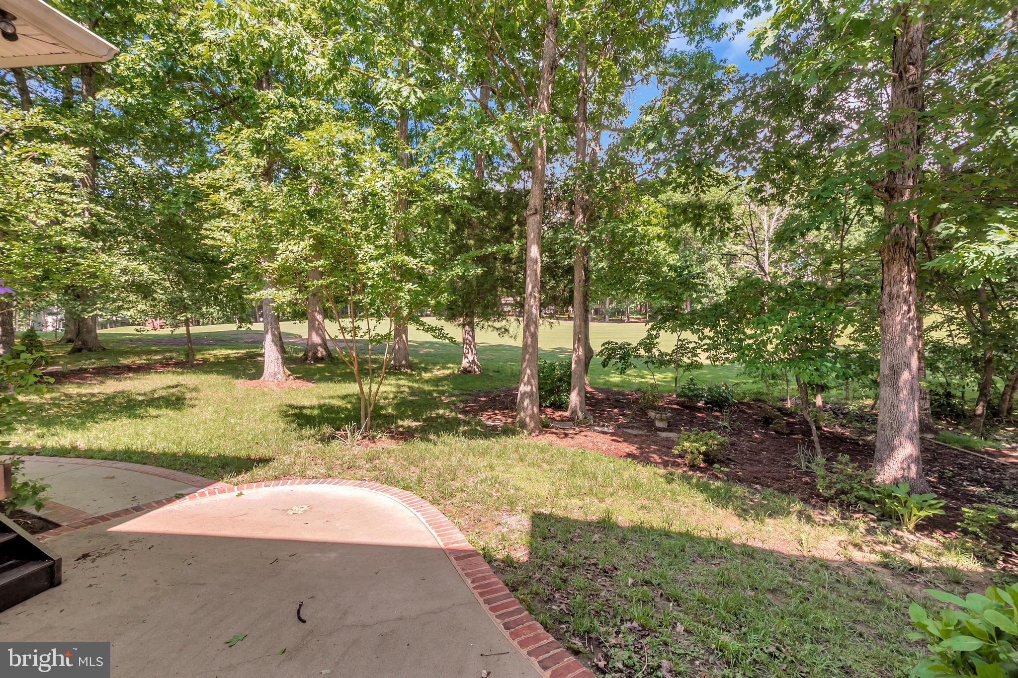 430 Birdie Road Locust Grove, VA 22508 - Photo 5 of 48 View of manageable, private backyard and fairway