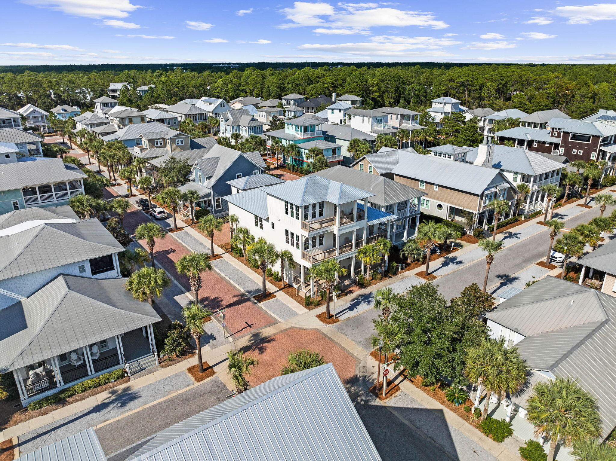 342 Beach Bike Way Inlet Beach Inlet Beach, FL 32461 - Photo 67 of 86 Drone 1