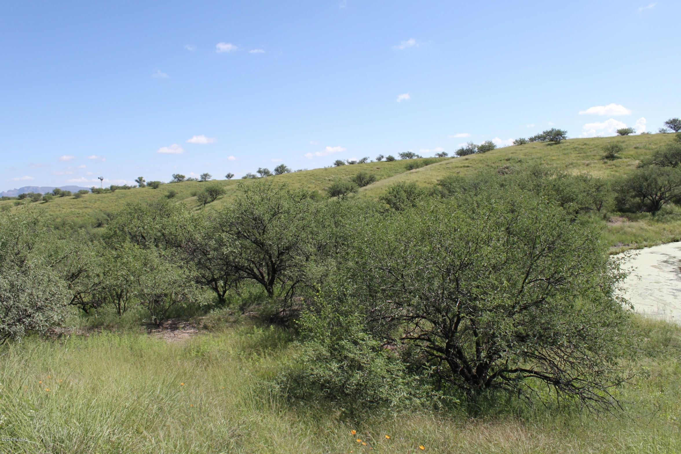 38101 South Wedgeford Road Arivaca, AZ 85601 - Photo 2 of 20