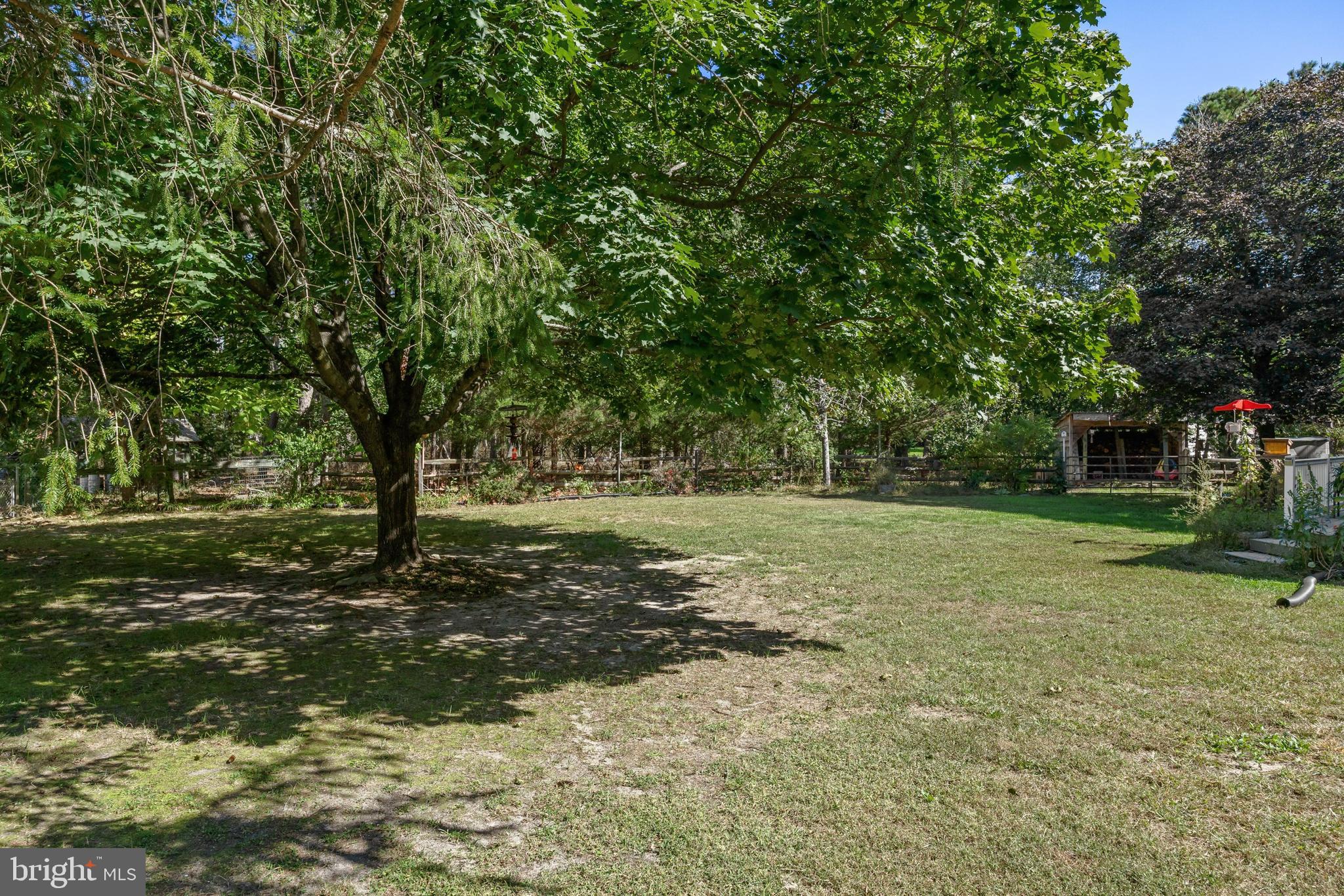 25 Panama Road Chatsworth, NJ 08019 - Photo 34 of 50 a view of a tree in the middle of a yard