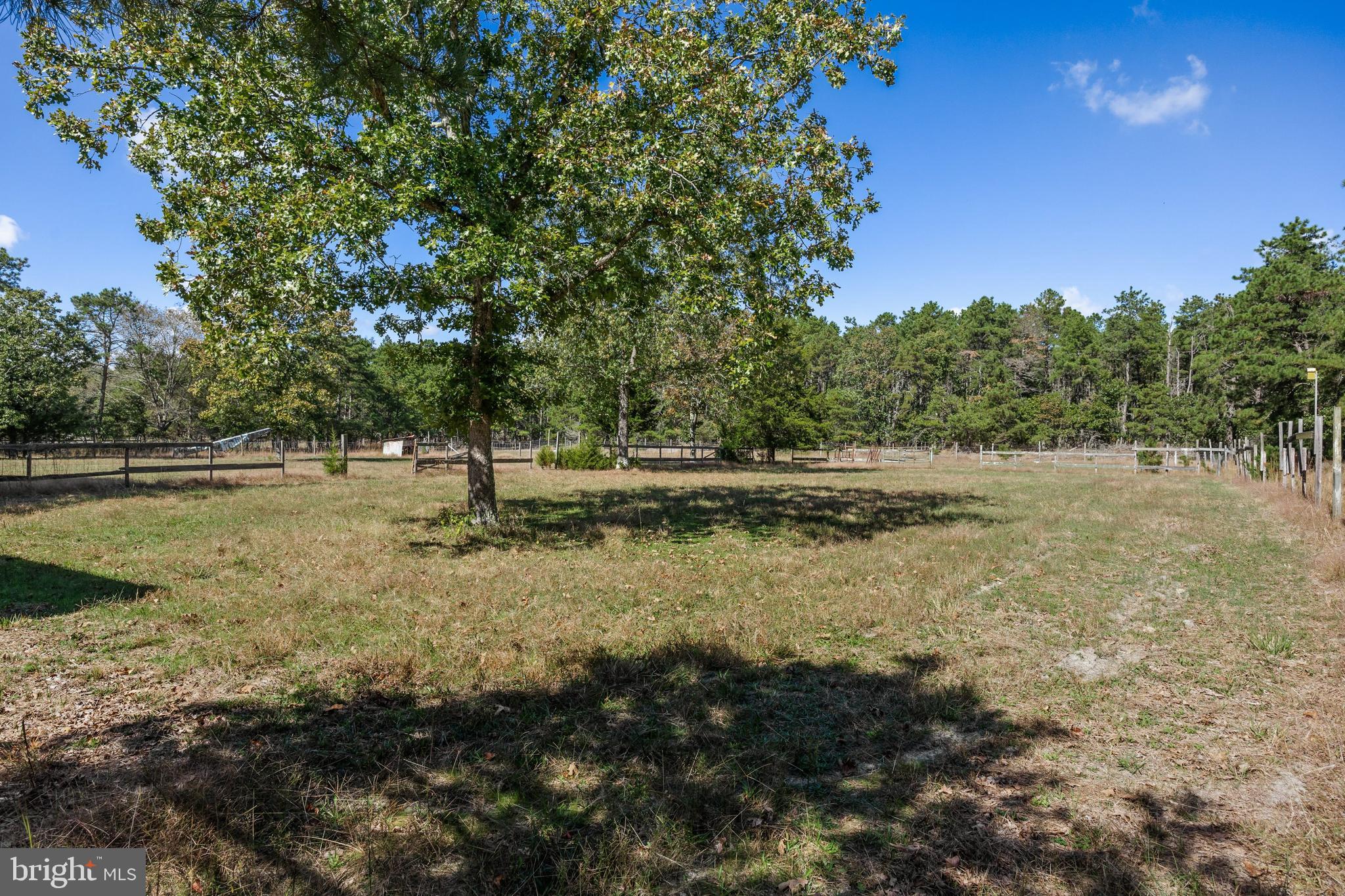 25 Panama Road Chatsworth, NJ 08019 - Photo 37 of 50 a view of outdoor space with trees all around