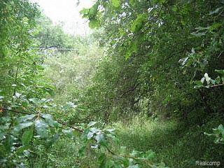 Vac Cedar Lake Road Pinckney, MI 48169 - Photo 1 of 1 Cedar Lake Road #2