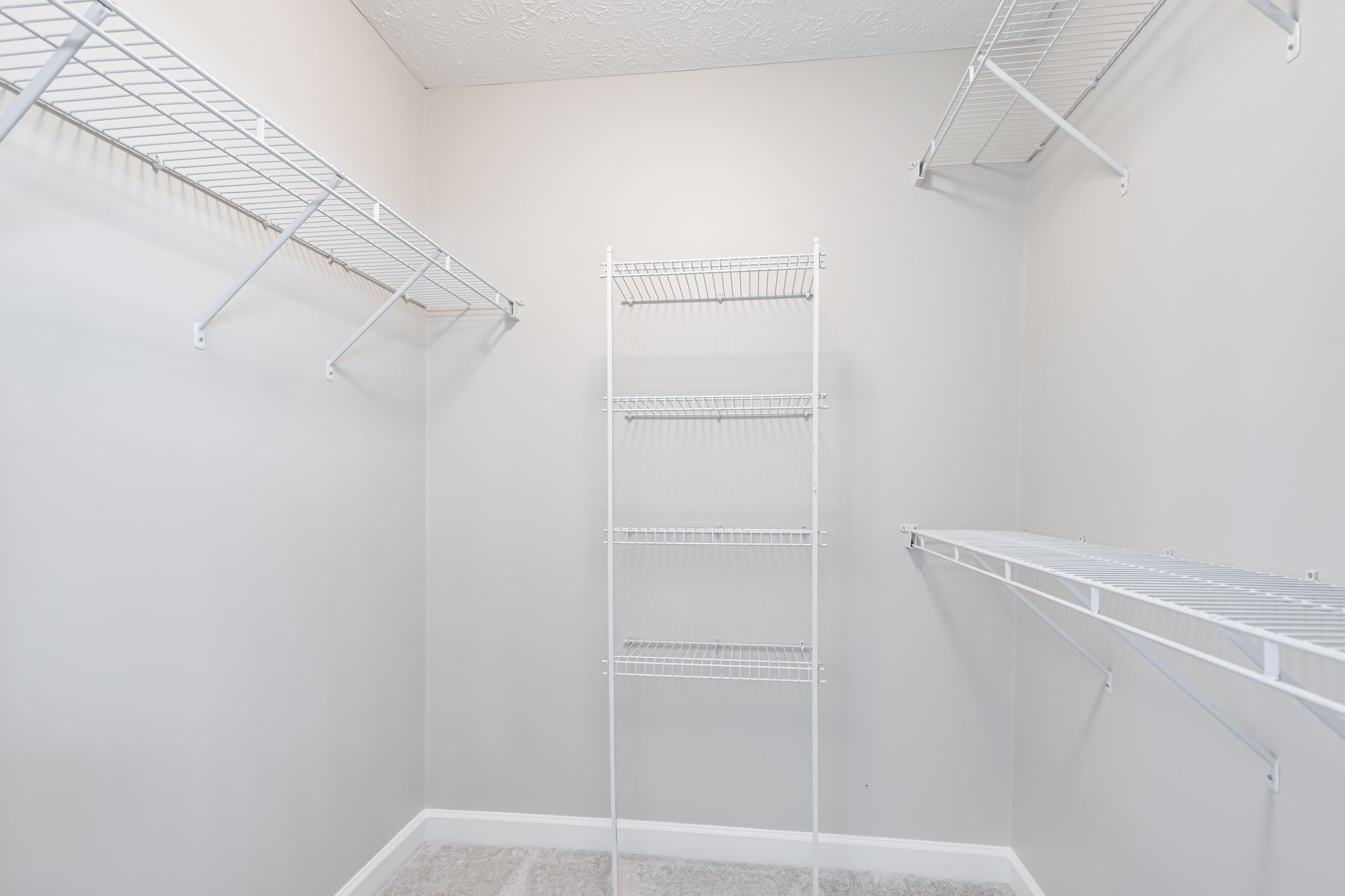523 County Farm Road Murfreesboro, TN 37127 - Photo 26 of 44 Walk-in closet in primary bath.