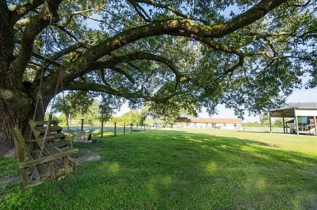 a view of a field with an ocean