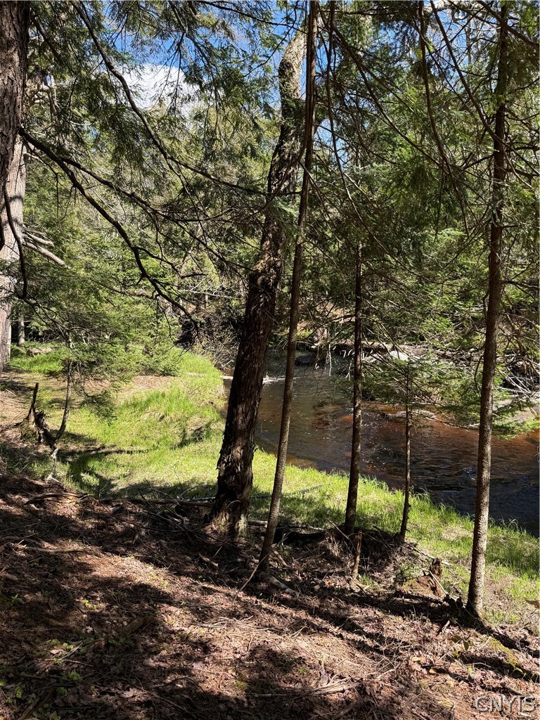 Lot # Meekerville Road Forestport, NY 13338 - Photo 26 of 45