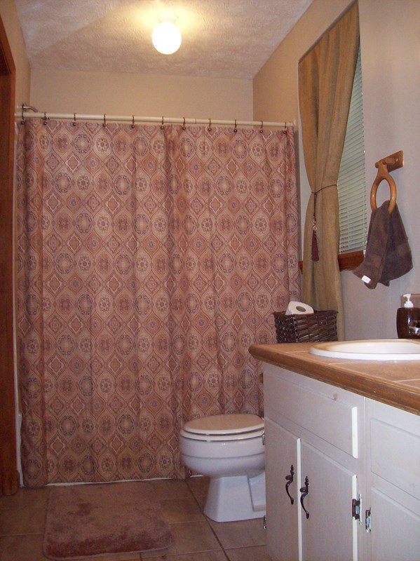 396 Buck Road Gray, GA 31032 - Photo 11 of 36 a bathroom with a sink a toilet and shower