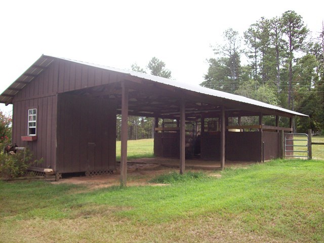 396 Buck Road Gray, GA 31032 - Photo 22 of 36 a backyard of a house with lots of green space
