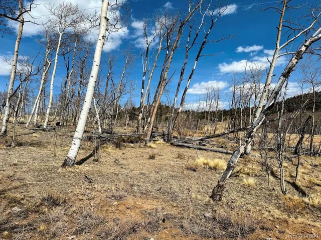 a front view of a house with a yard covered with snow in front of house