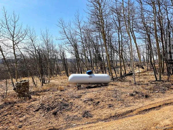 a view of a backyard of the house