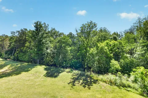a view of a yard with a tree