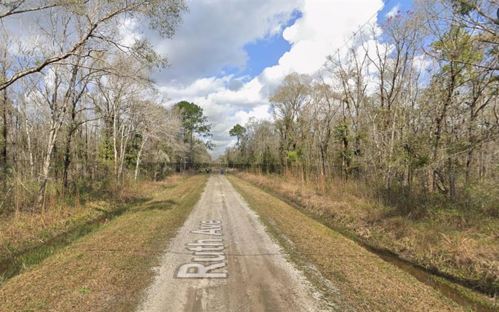 10535 Ruth Avenue Hastings, FL 32145 - Photo 1 of 8 Gallery Image 1