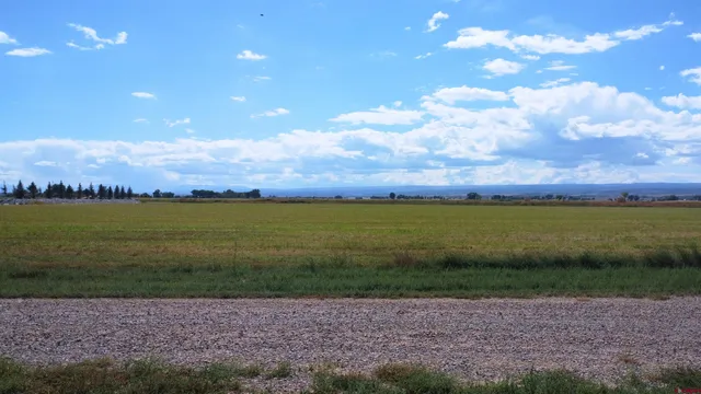 a view of a yard with a lake