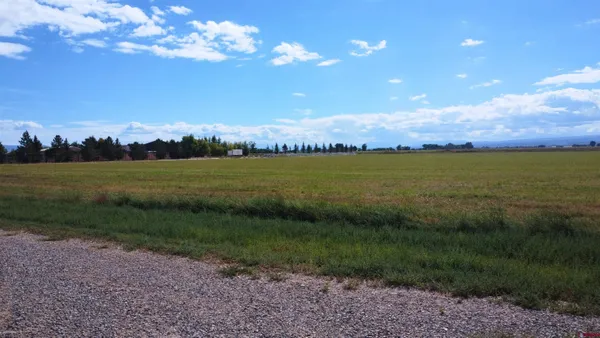 a view of a golf course with a lake
