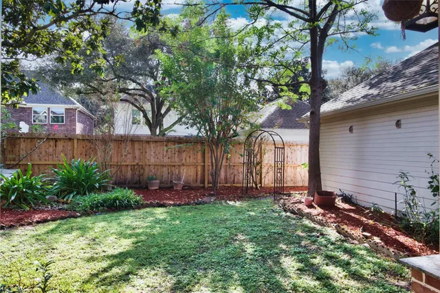 a view of a backyard with potted plants and large tree