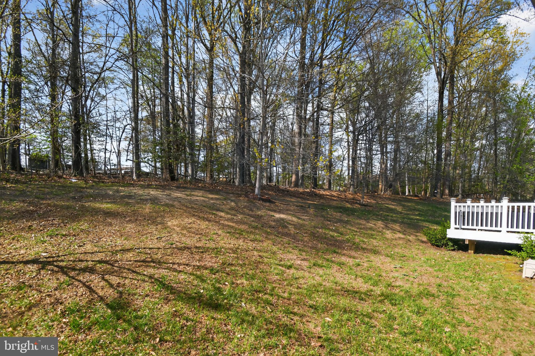 9009 Eldon Drive Clinton, MD 20735 - Photo 4 of 40 a front view of a house with a yard