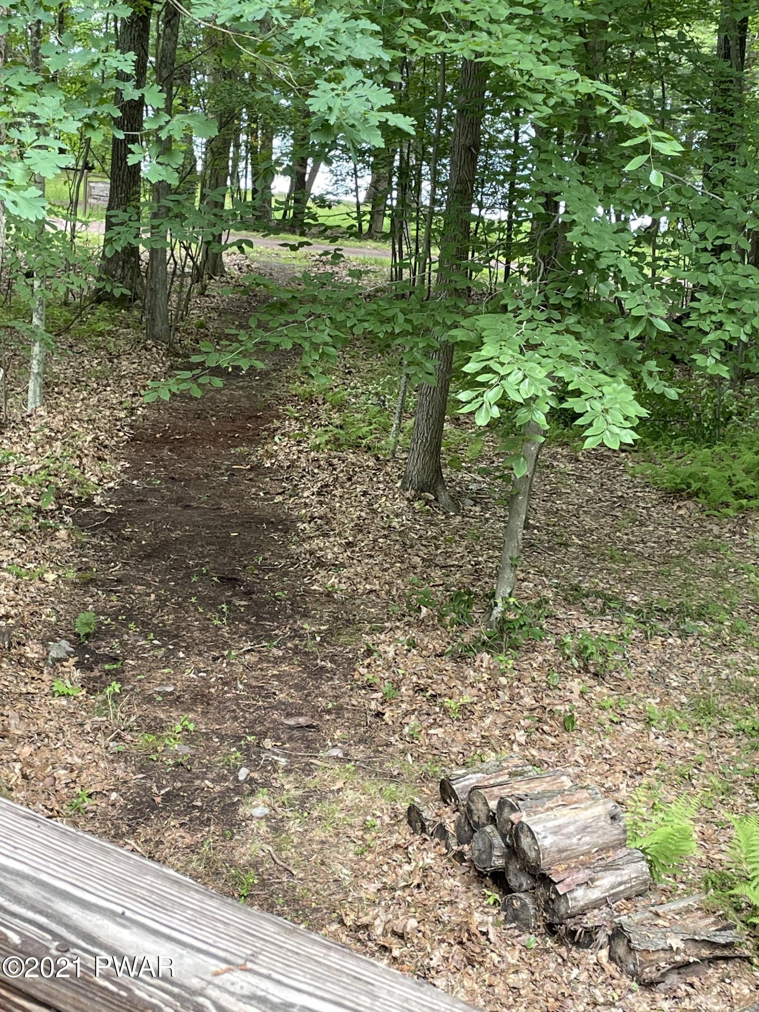 127 Beach Road Beach Lake, PA 18405 - Photo 31 of 44 path 1