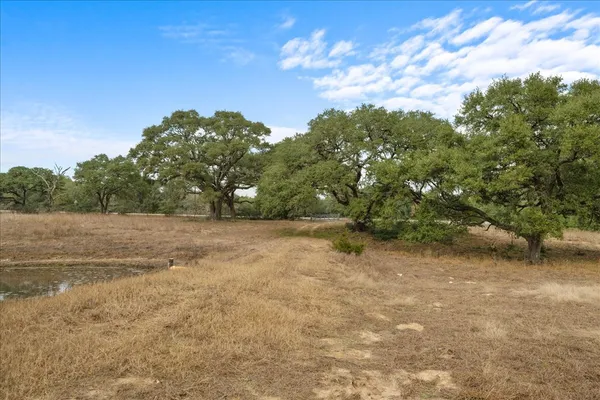 a view of a yard with a tree