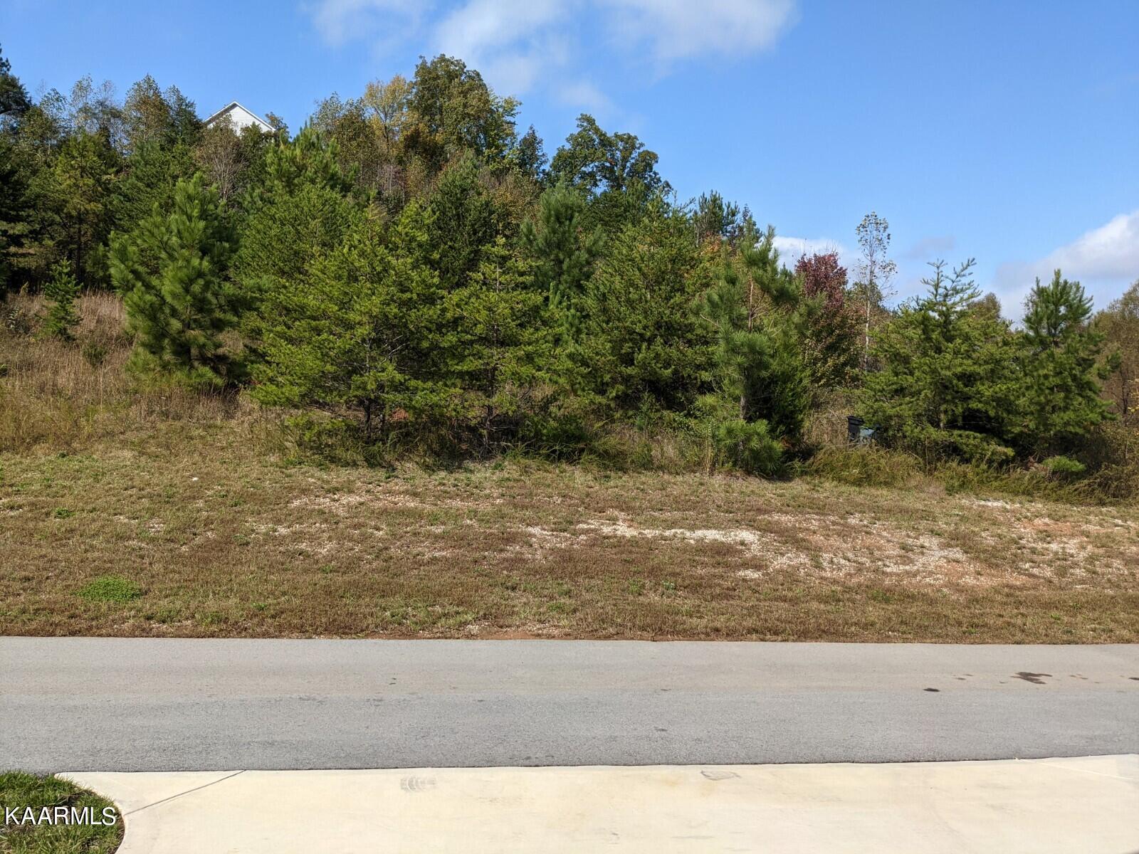 125 West Rarity Ridge Parkway, Unit LOT102A Oak Ridge, TN 37830 - Photo 26 of 44 Private Lot