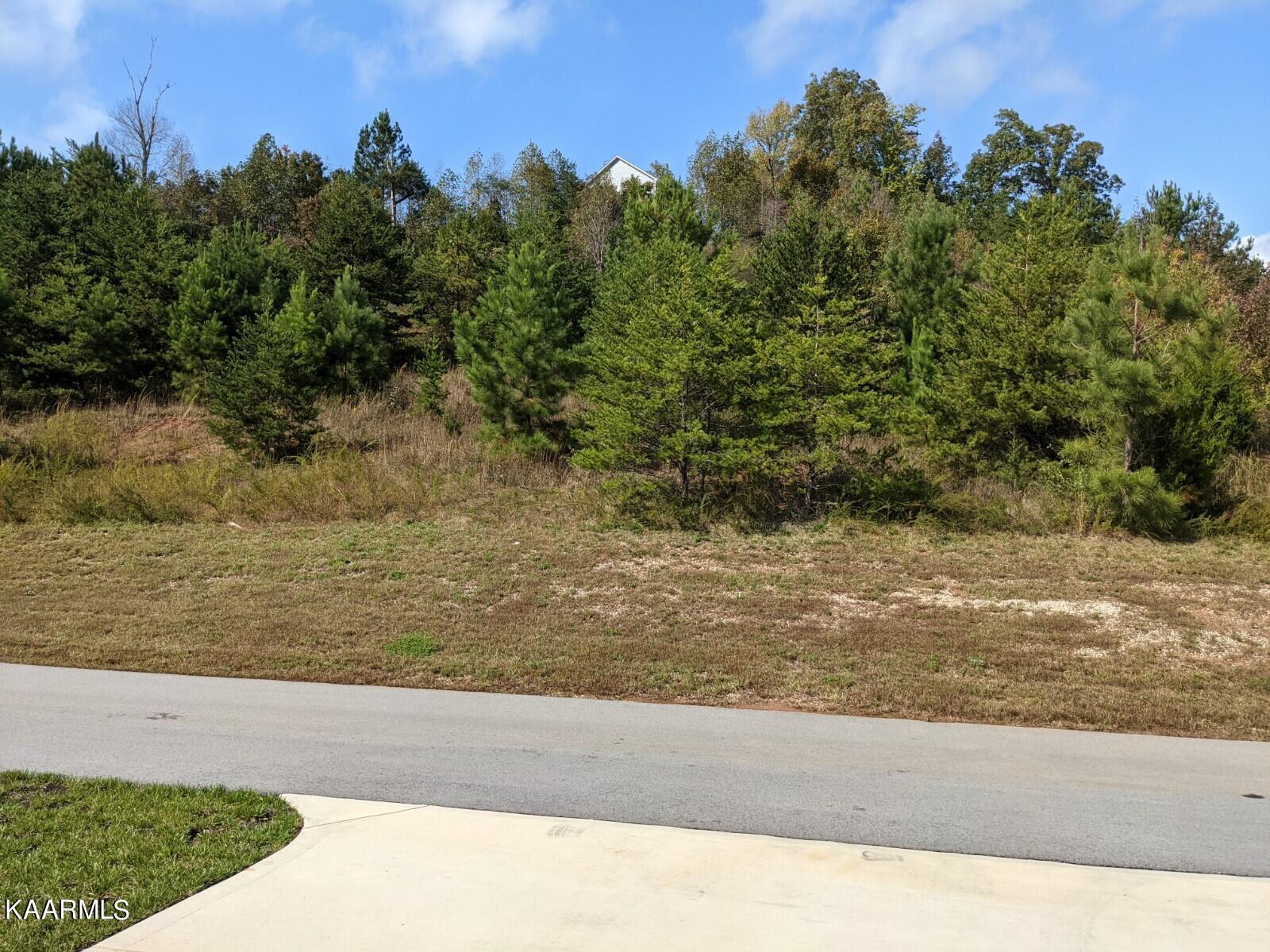 125 West Rarity Ridge Parkway, Unit LOT102A Oak Ridge, TN 37830 - Photo 27 of 44 Private Lot