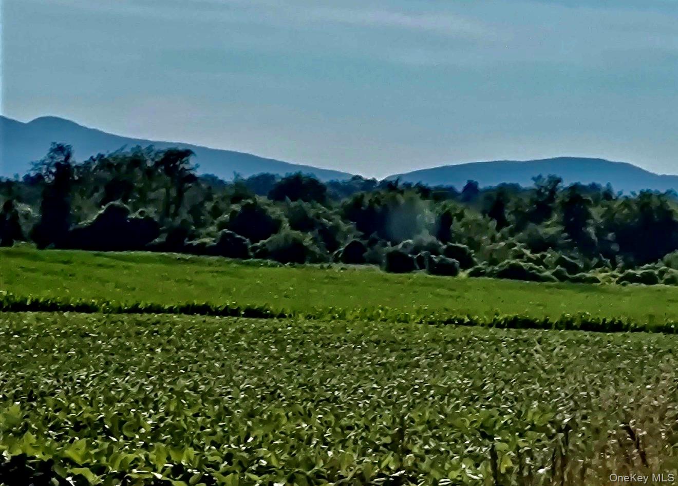 0 Us 9 Hudson, NY 12534 - Photo 3 of 11