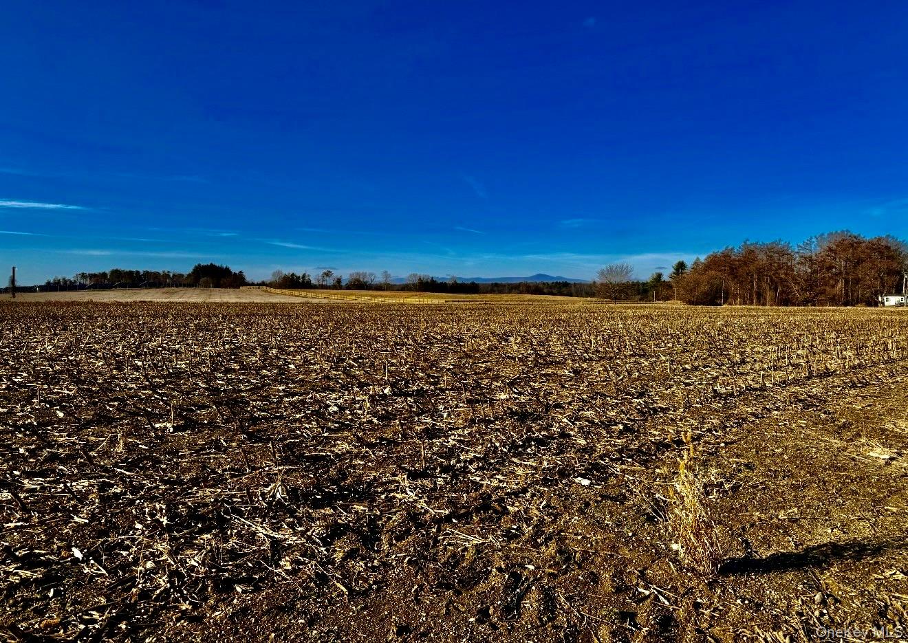 0 Us 9 Hudson, NY 12534 - Photo 5 of 11