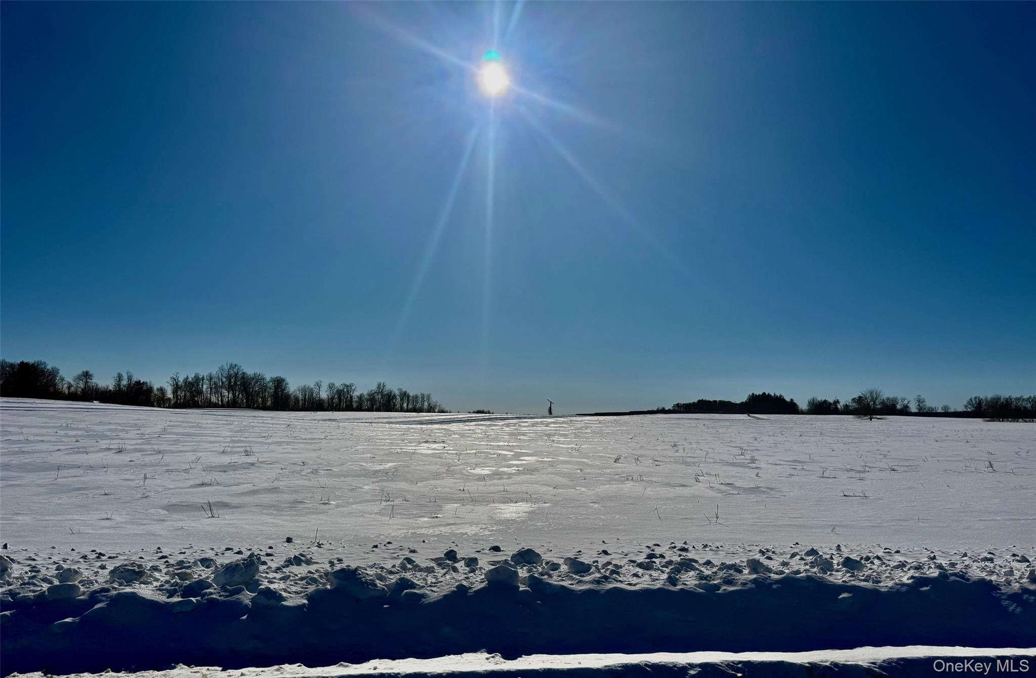 0 Us 9 Hudson, NY 12534 - Photo 6 of 11 Orchard Road Frontage